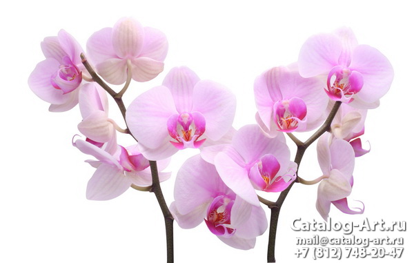 Натяжные потолки с фотопечатью - Розовые орхидеи 27